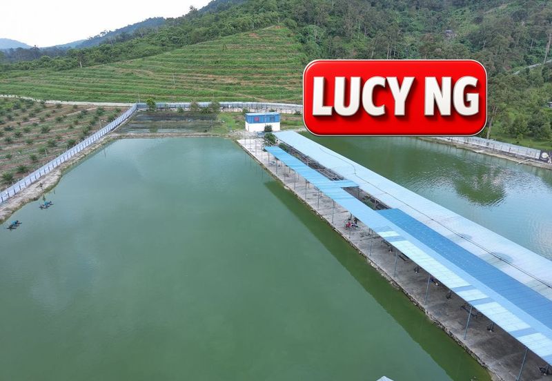 Agriculture Land @ Taiping