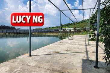 Agriculture Land @ Taiping