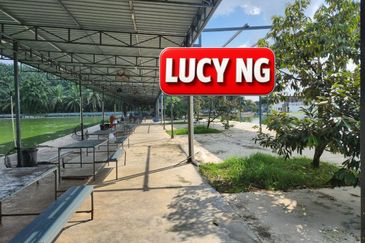 Agriculture Land @ Taiping