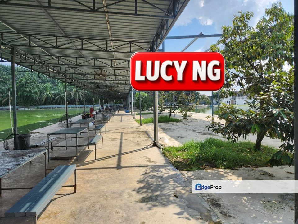 Recreational Fishing Farm | Agricultural Land | Taiping | Perak b, Perak, Taiping