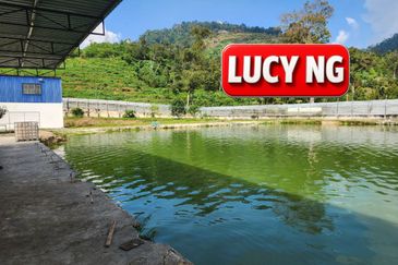 Agriculture Land @ Taiping