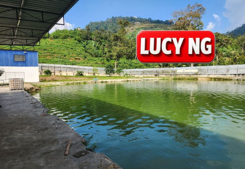 Agriculture Land @ Taiping