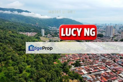 6.799 acres | First Grade | Durian Farm | Paya Terubung | Air Itam | Penang t, Penang, Relau