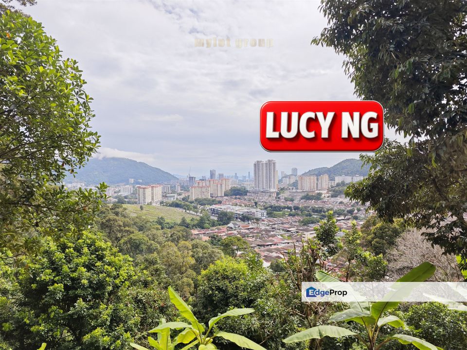 6.799 acres | First Grade | Durian Farm | Paya Terubung | Air Itam | Penang t, Penang, Relau