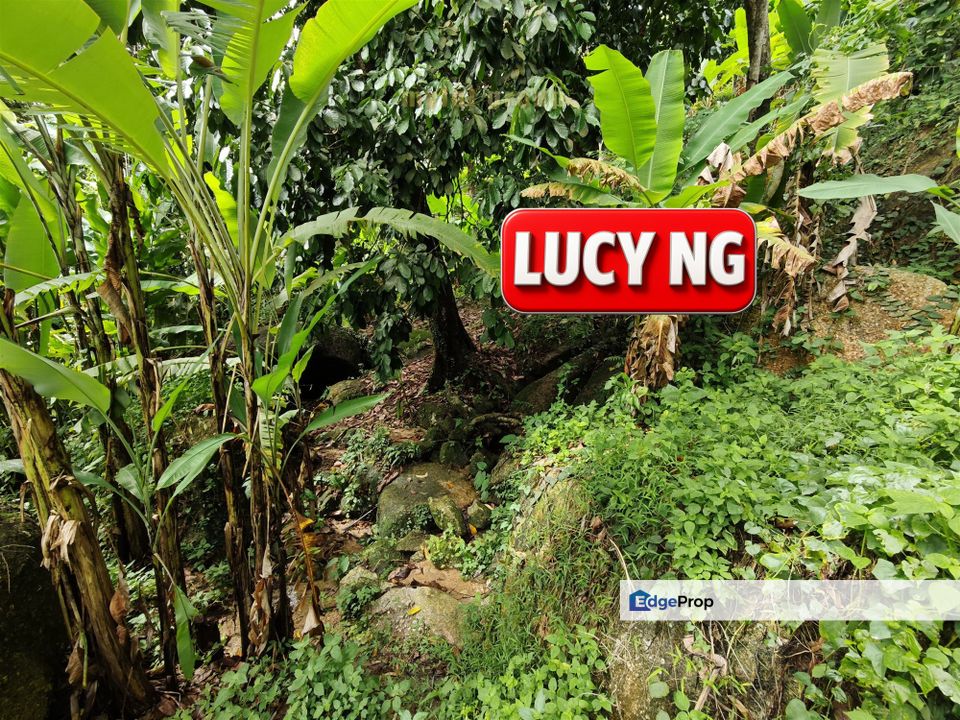 6.799 acres | First Grade | Durian Farm | Paya Terubung | Air Itam | Penang t, Penang, Relau