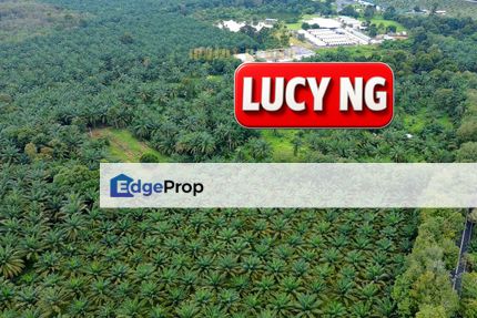 16.15 acres | Agricultural Land | Jalan Gajah Mati  | Bukit Mertajam | Penang t, Penang, Bukit Mertajam