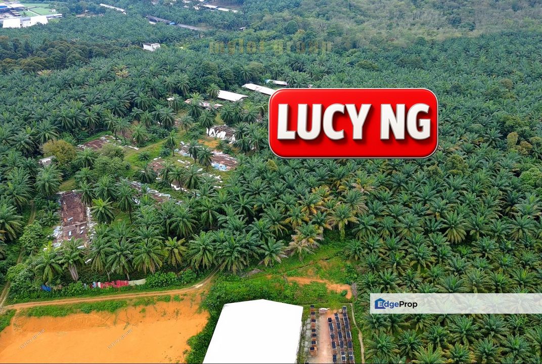 16.15 acres | Agricultural Land | Jalan Gajah Mati  | Bukit Mertajam | Penang t, Penang, Bukit Mertajam