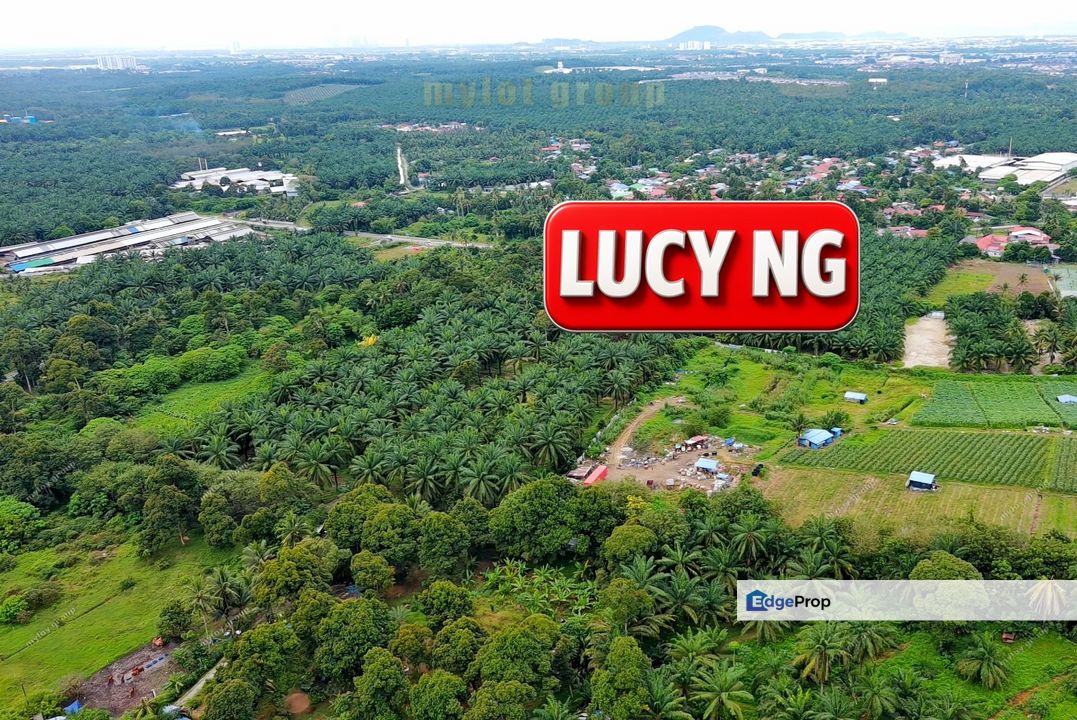 16.15 acres | Agricultural Land | Jalan Gajah Mati  | Bukit Mertajam | Penang t, Penang, Bukit Mertajam