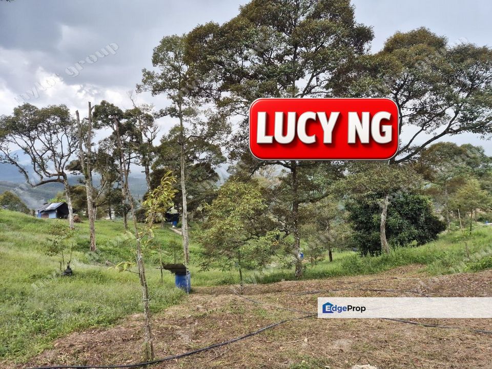 8.73 acres | Well Maintained | Mountain Land | Durian Farm | Junjung | Kulim | Kedah b, Kedah, Kulim