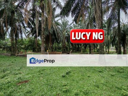 3.614 acres | Agricultural land | Sidam Kanan | Padang Serai | Kedah d, Kedah, Kulim