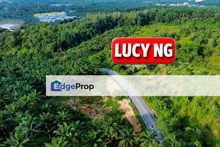4.63 acres | Main Road | Agricultural Land | Jalan Gajah Mati | Machang Bubok | Bukit Mertajam | Penang t, Penang, Bukit Mertajam