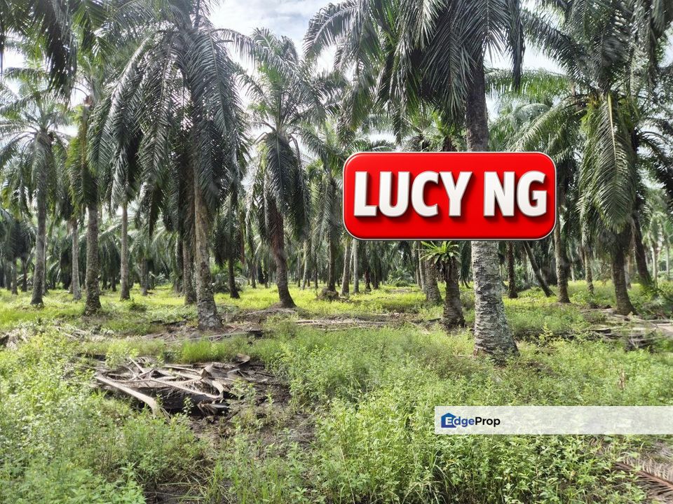 8.881 acres | Industrial Land | First Grade | Simpang Ampat | Sungai Bakap | Penang b, Penang, Sungai Jawi