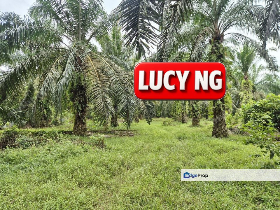 5.043 acres | Agricultural Land | Sungai Bakap | Sungai Jawi | Penang b, Penang, Sungai Bakap 