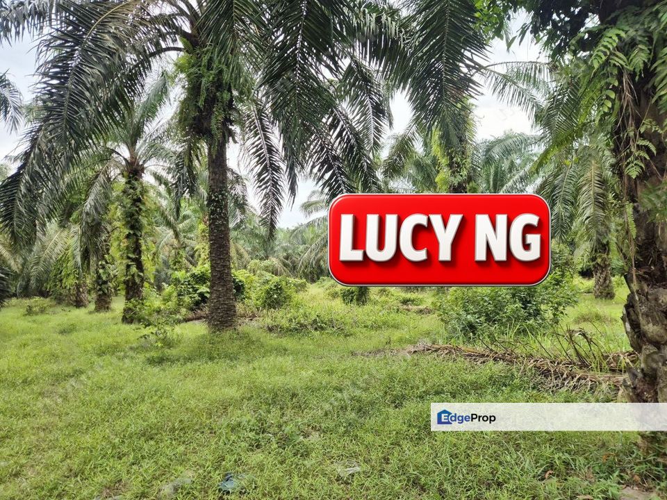 5.043 acres | Agricultural Land | Sungai Bakap | Sungai Jawi | Penang b, Penang, Sungai Bakap 