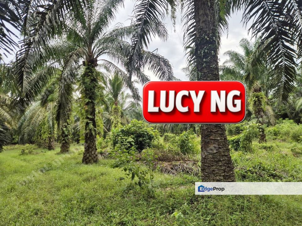 5.043 acres | Agricultural Land | Sungai Bakap | Sungai Jawi | Penang b, Penang, Sungai Bakap 