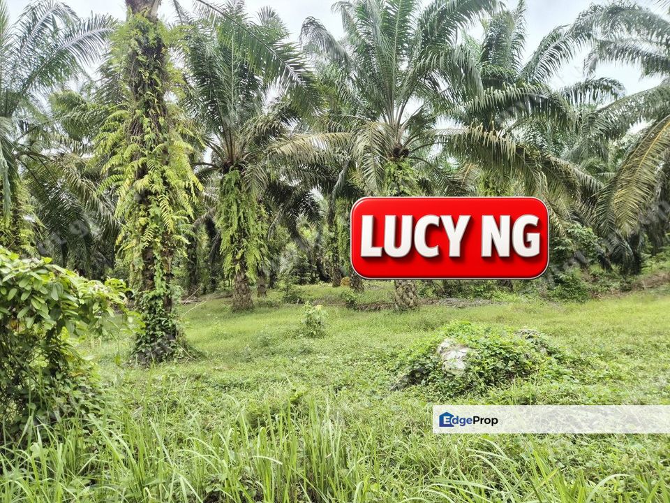 5.043 acres | Agricultural Land | Sungai Bakap | Sungai Jawi | Penang b, Penang, Sungai Bakap 