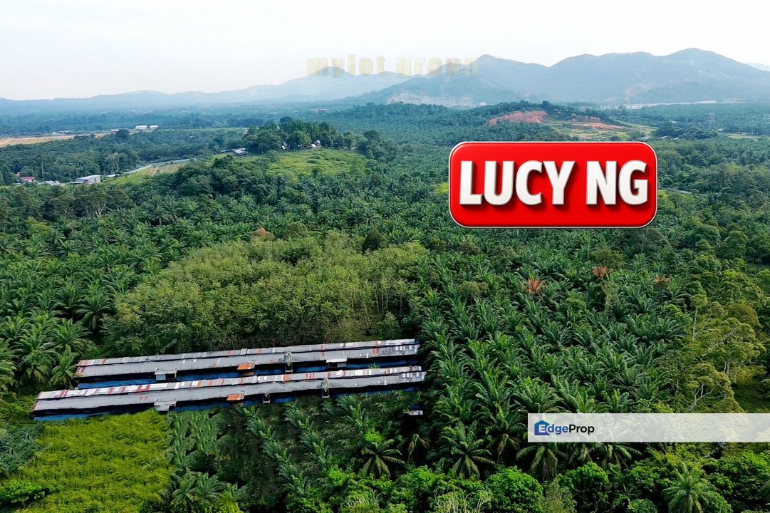  9.20 acres | Future development Land | Valdor | Simpang Ampat | Sungai Jawi | Penang t, Penang, Sungai Bakap 