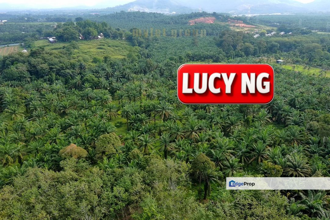  9.20 acres | Future development Land | Valdor | Simpang Ampat | Sungai Jawi | Penang t, Penang, Sungai Bakap 