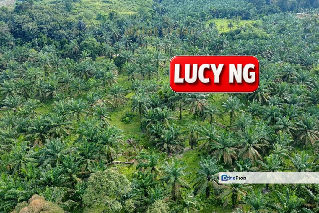  9.20 acres | Future development Land | Valdor | Simpang Ampat | Sungai Jawi | Penang t, Penang, Sungai Bakap 