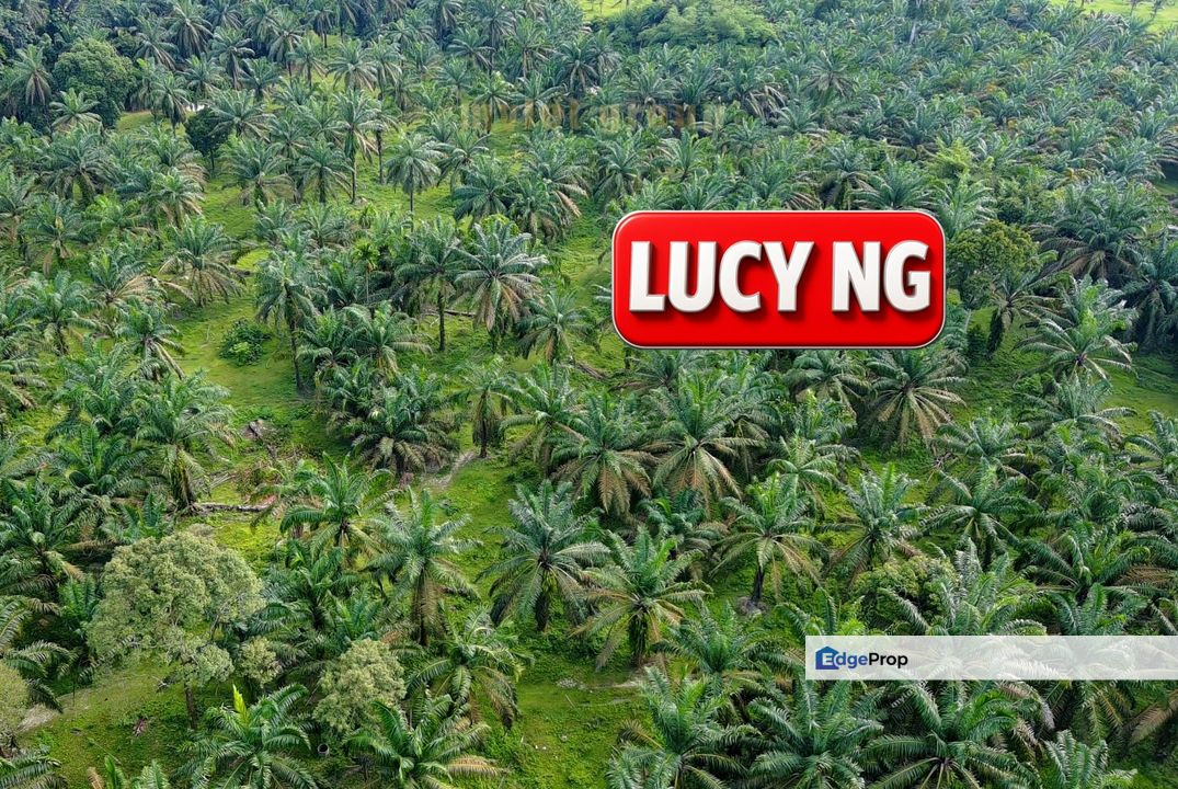  9.20 acres | Future development Land | Valdor | Simpang Ampat | Sungai Jawi | Penang t, Penang, Sungai Bakap 