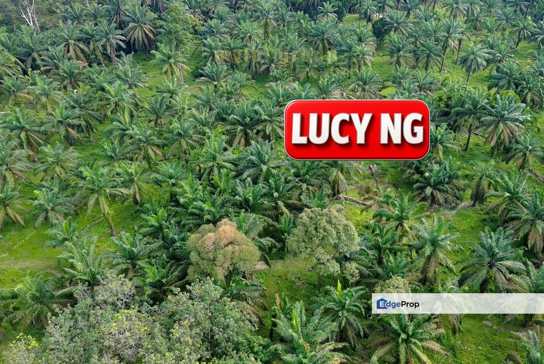  9.20 acres | Future development Land | Valdor | Simpang Ampat | Sungai Jawi | Penang t, Penang, Sungai Bakap 