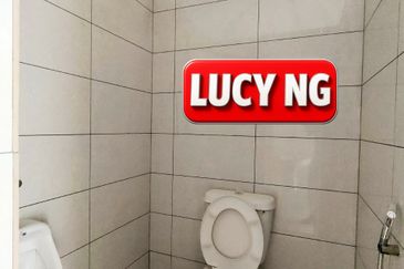 Kawasan Perindustrian Ringan Saga