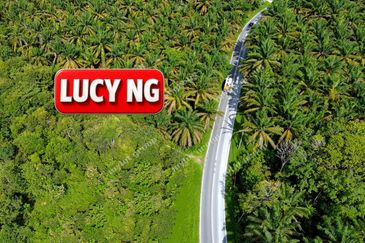 Kampung Tasek Junjung