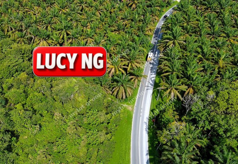 Kampung Tasek Junjung