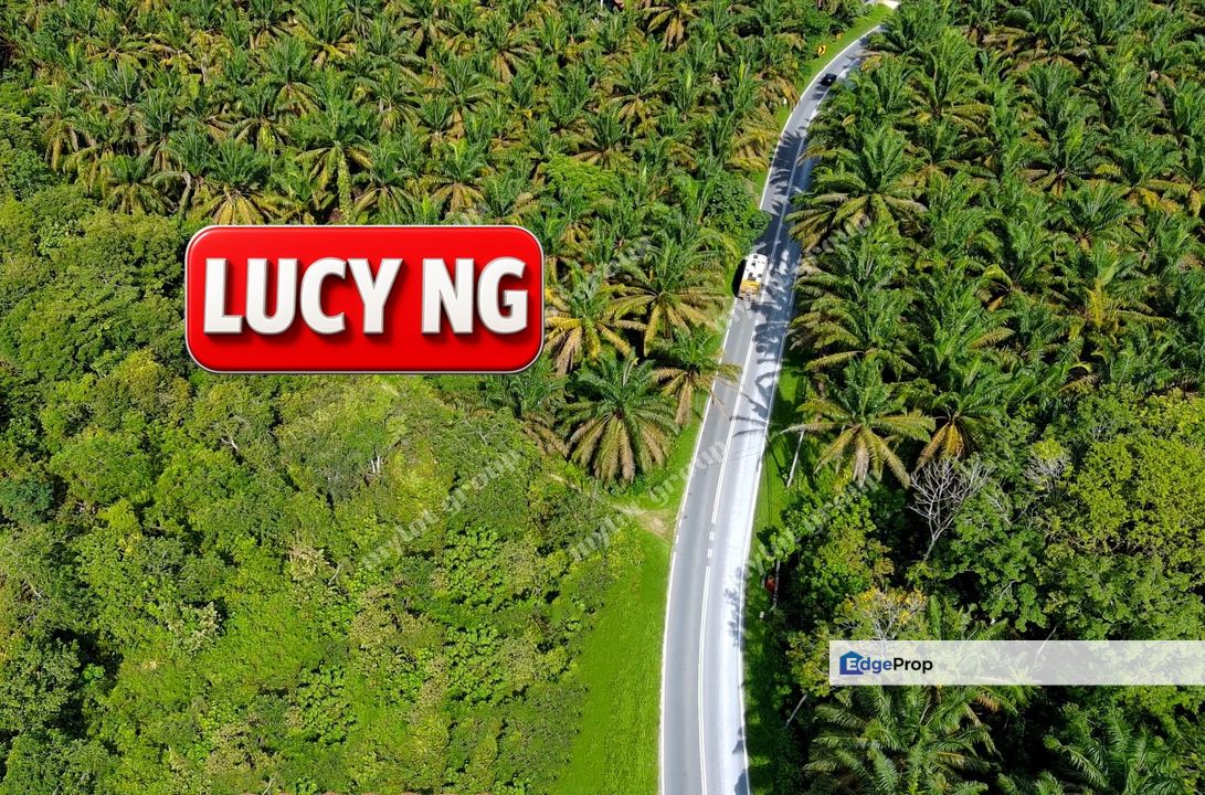 Vacant Land | Main Road | Junjong | Kulim | Kedah t, Penang, Simpang Ampat