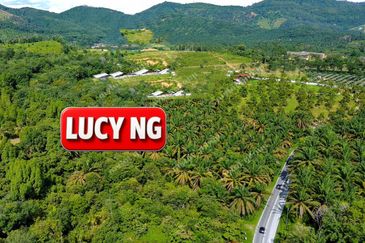 Kampung Tasek Junjung