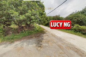 Agriculture Land @ Taiping