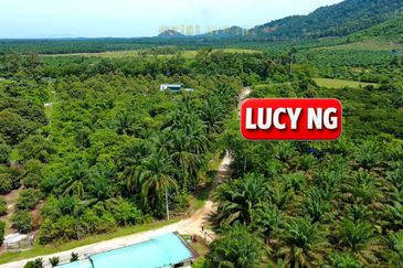 Agriculture Land @ Taiping