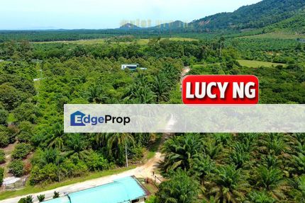 1.29 acres | Agricultural Land | Kamunting | Taiping | Perak t, Perak, Taiping