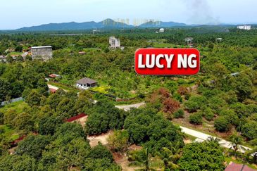 Agriculture Land @ Taiping