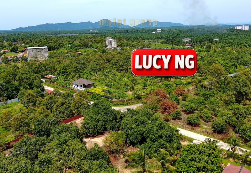 Agriculture Land @ Taiping