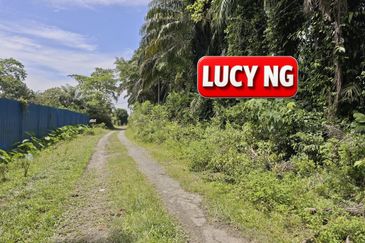 Agriculture Land @ Taiping