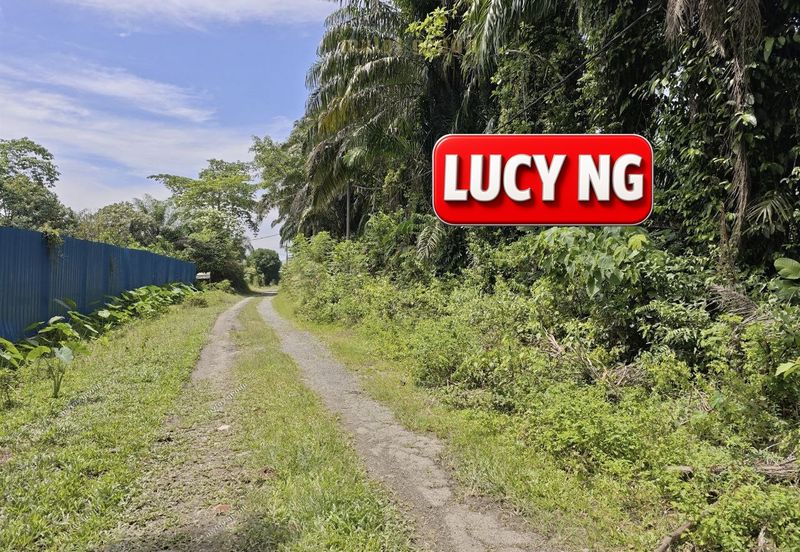 Agriculture Land @ Taiping