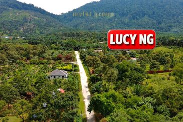 Agriculture Land @ Taiping