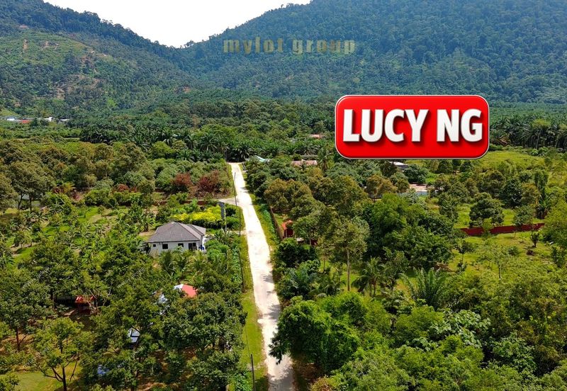 Agriculture Land @ Taiping