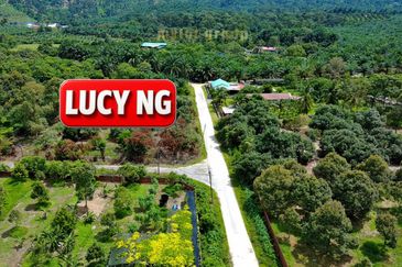 Agriculture Land @ Taiping