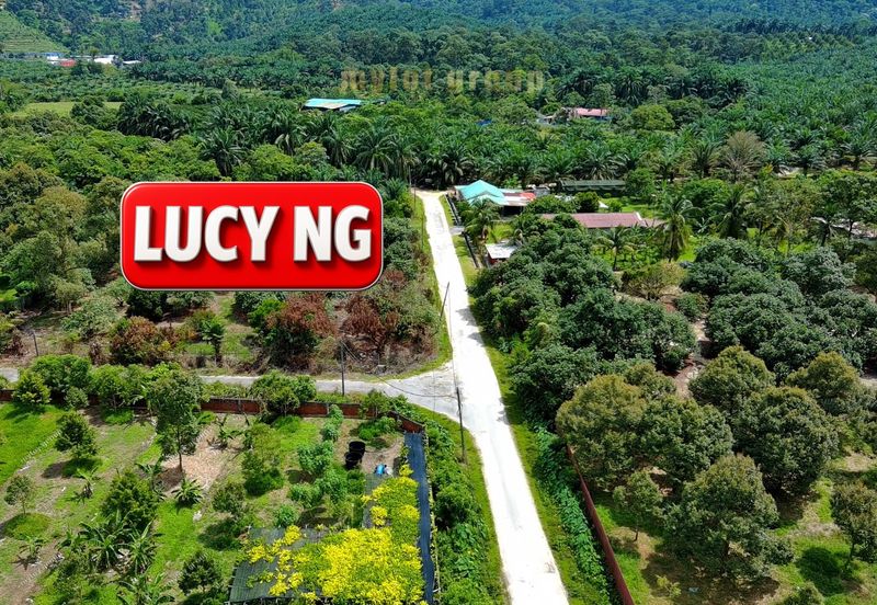 Agriculture Land @ Taiping