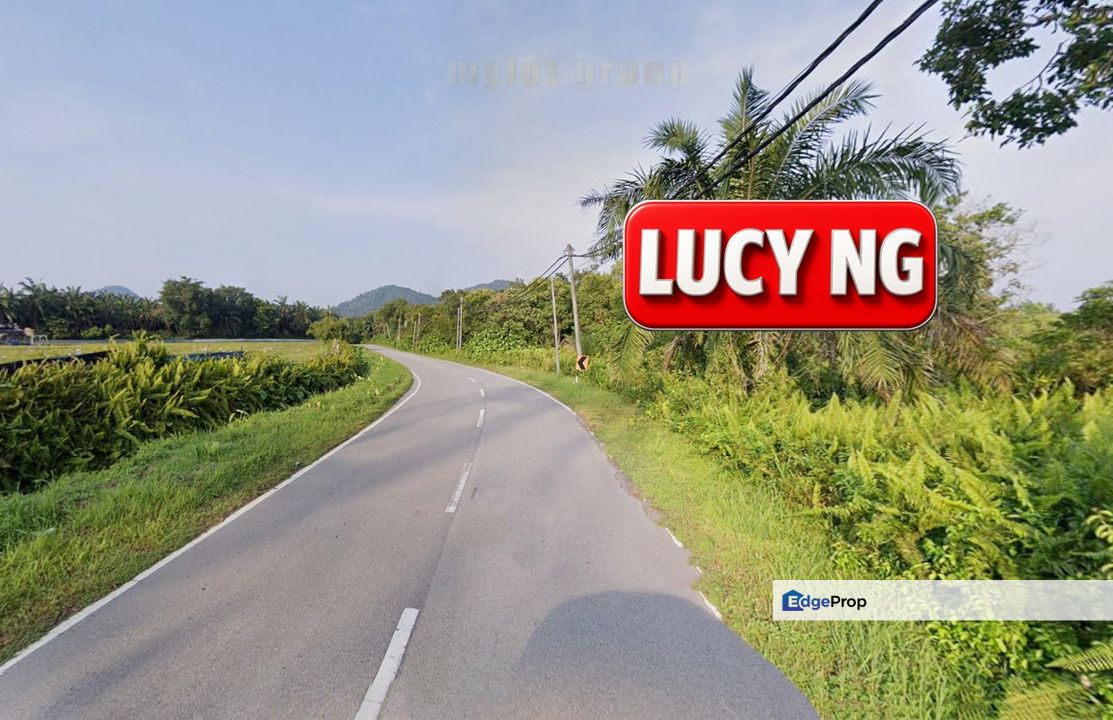 3.25 acres | The Cheapest | Residential Land | Bukit Merah | Gunung Semanggol | Perak  t, Perak, Kerian