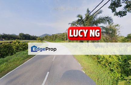 3.25 acres | The Cheapest | Residential Land | Bukit Merah | Gunung Semanggol | Perak  t, Perak, Kerian