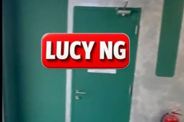 Eco Bloom @ Eco Meadows