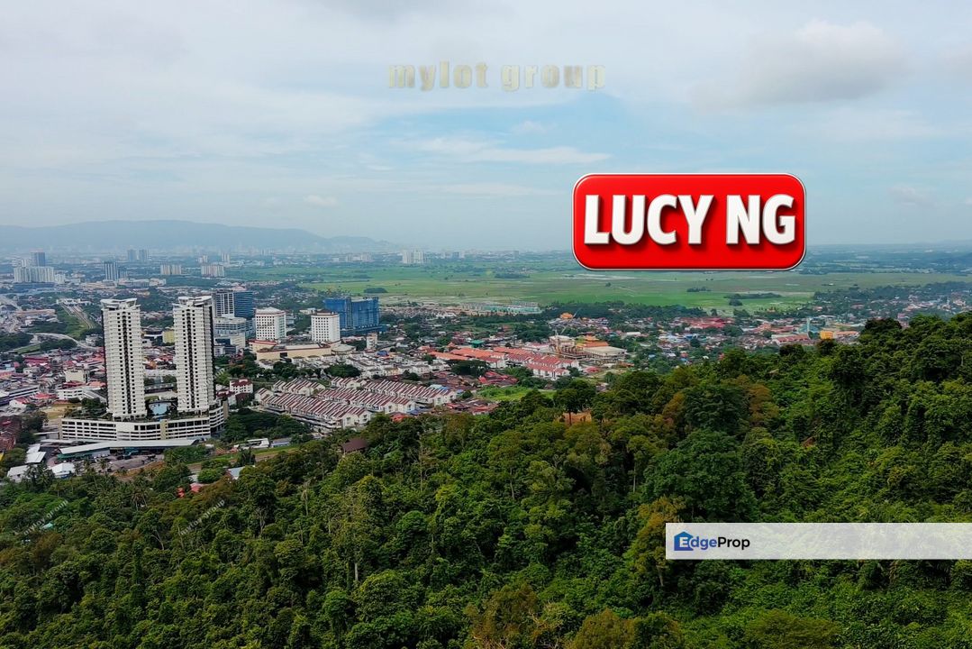 Agricultural Land | Jalan Berapit, Kampung Besar | Bukit Mertajam | Penang  t, Penang, Berapit