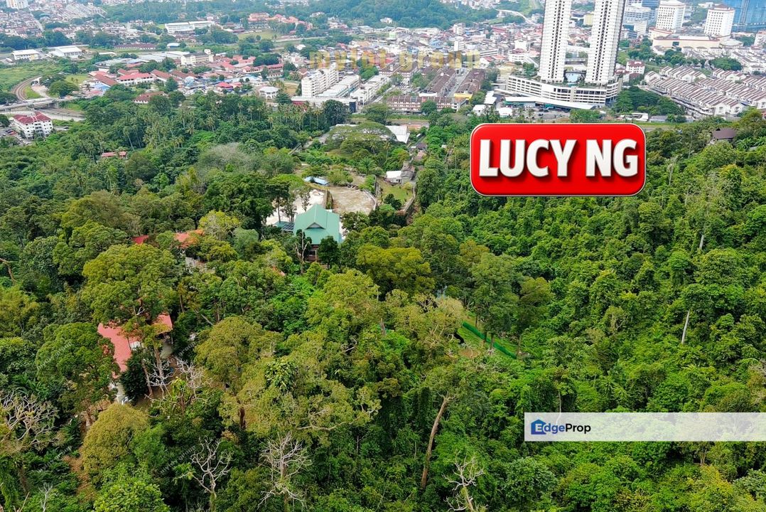 Agricultural Land | Jalan Berapit, Kampung Besar | Bukit Mertajam | Penang  t, Penang, Berapit