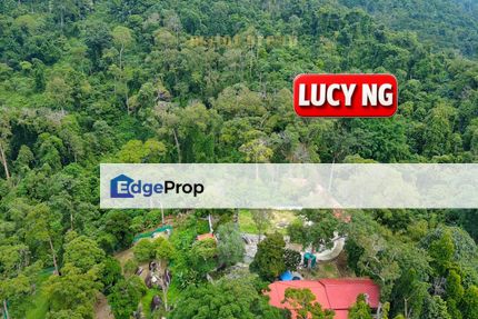 Agricultural Land | Jalan Berapit, Kampung Besar | Bukit Mertajam | Penang  t, Penang, Berapit