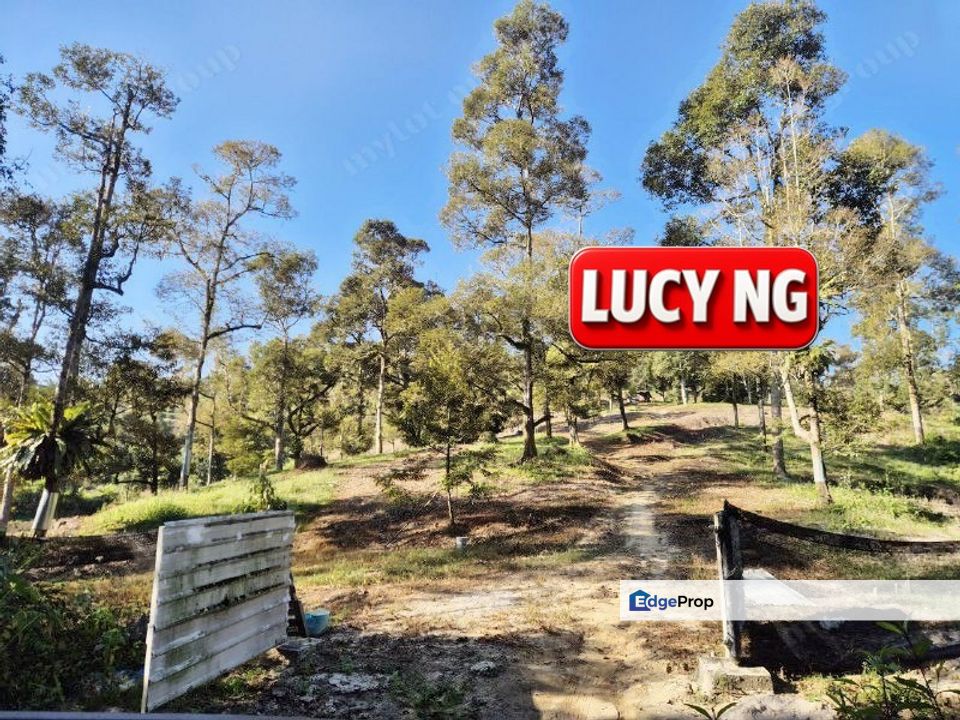 Non-stop Natural Water Source | Durian Farm | Sungai Ular | Kulim | Kedah b, Kedah, Kulim