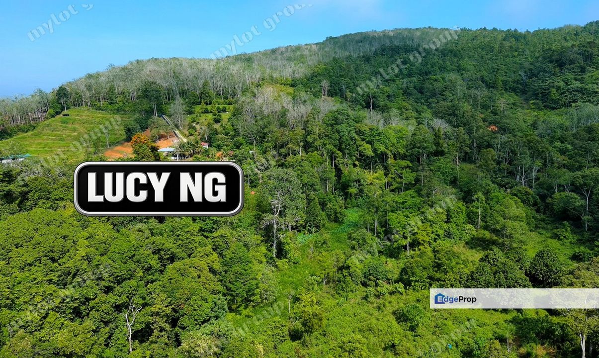 Affordable Price | Agricultural Land | Pengkalan Hulu | Perak t, Perak, Hulu Perak