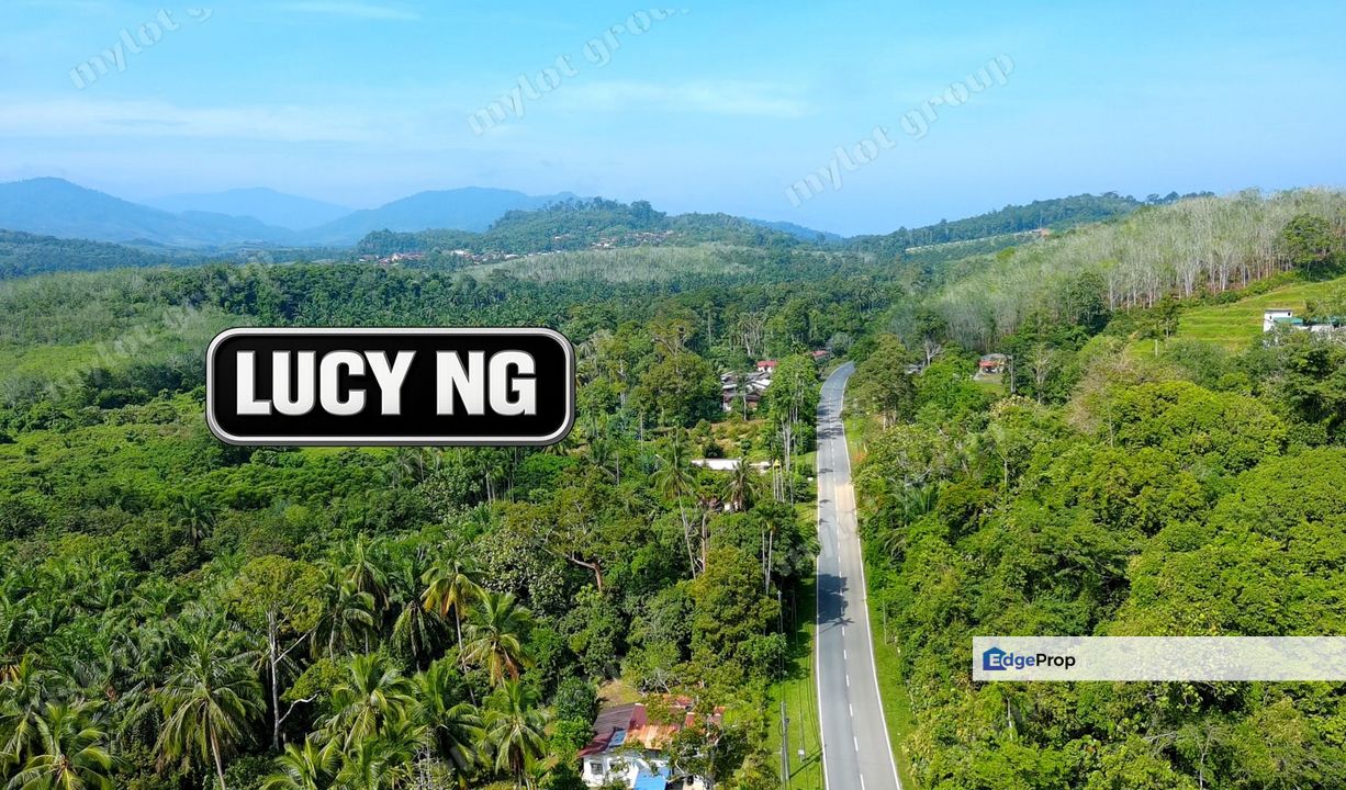 Affordable Price | Agricultural Land | Pengkalan Hulu | Perak t, Perak, Hulu Perak